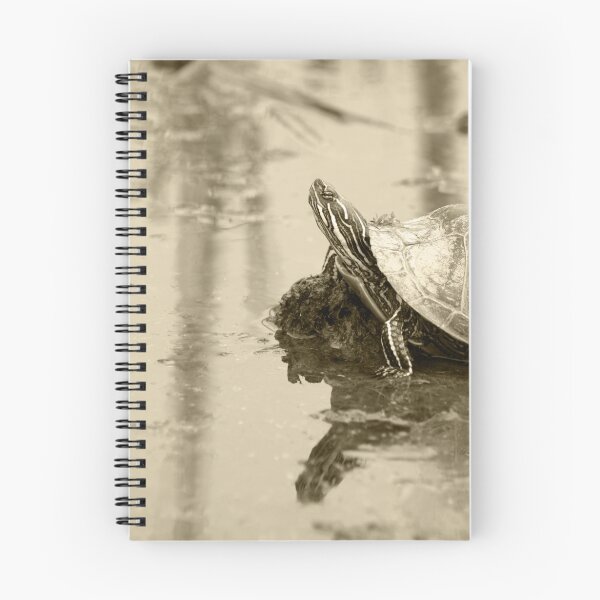 Item preview, Painted Turtle on Mud in a Marsh designed and sold by rhamm.