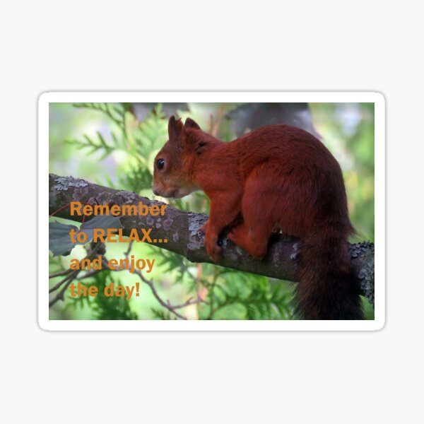 Remember To Relax And Enjoy The Day Sticker