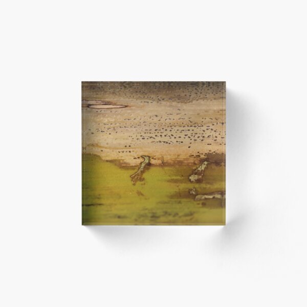 grasping youth Acrylic Block