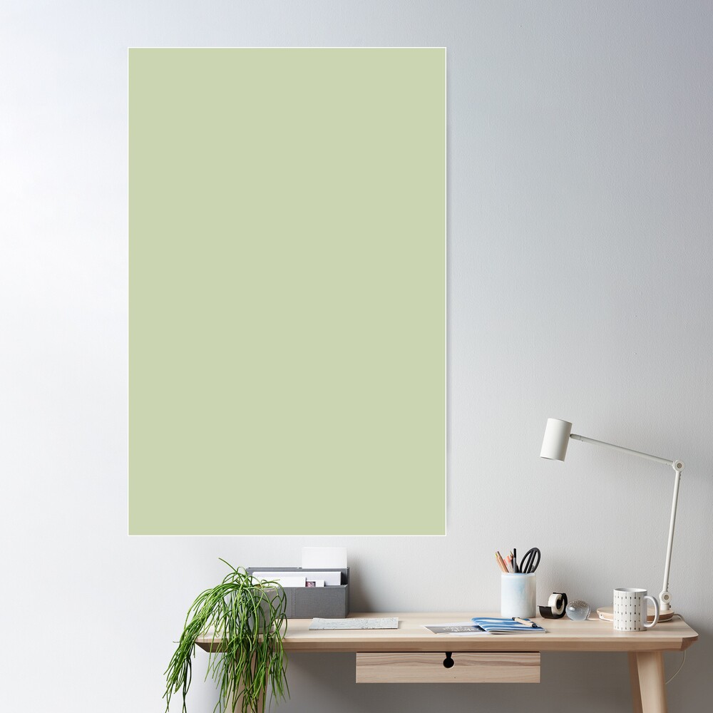 PLAIN SOLID COLOR SEAFOAM GREEN FOR A BREEZY BEACH DECOR AND