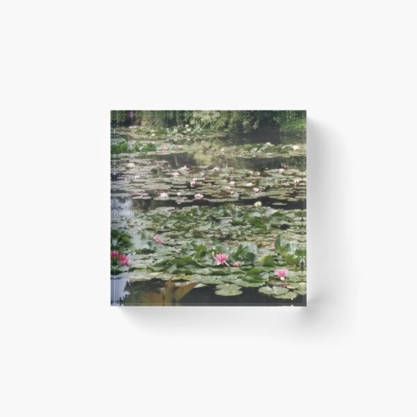 Aperçu de l'œuvre Nymphéas de Giverny créée et vendue par Silviajones.