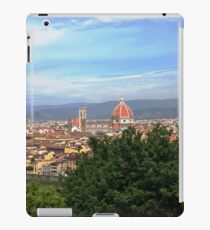Landscape iPad Case/Skin