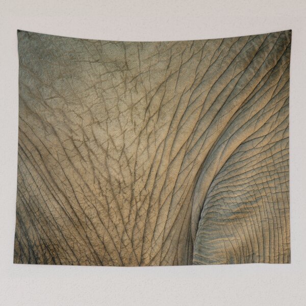 Item preview, Elephant Skin designed and sold by fpenderlico.