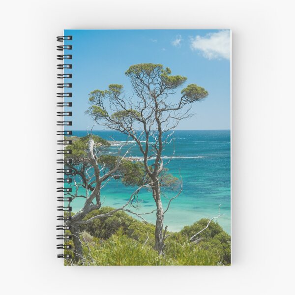 Item preview, Ti-Tree over the Beach designed and sold by metriognome.