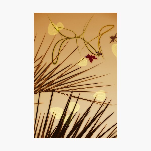 Item preview, TAKING A CHANCE ON YOU! designed and sold by Jael.