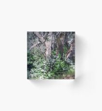 Spring At The Creek Acrylic Block