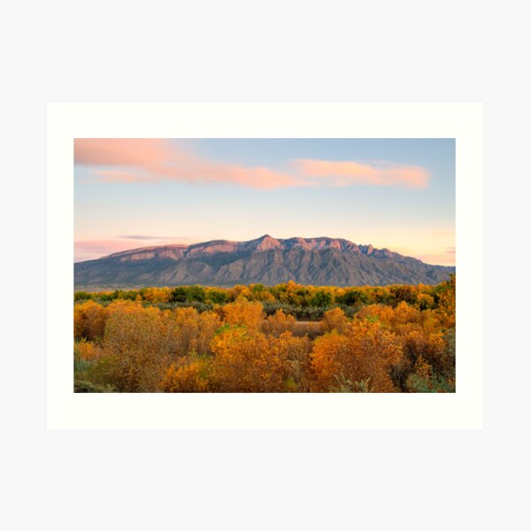 The Sandias and the Rio Grande Bosque II Art Print