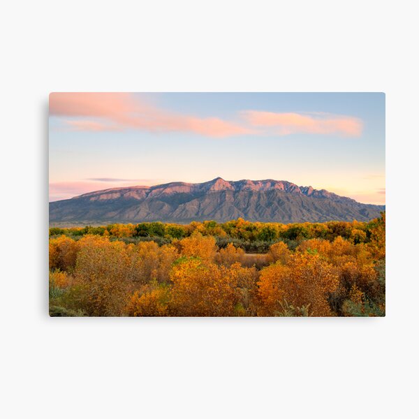 The Sandias and the Rio Grande Bosque II Canvas Print