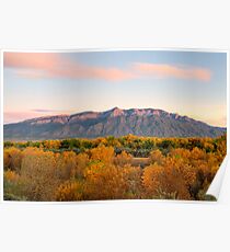 The Sandias and the Rio Grande Bosque II Poster