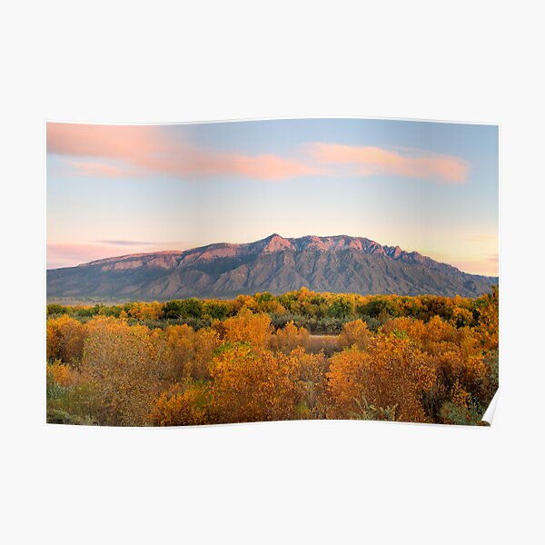 The Sandias and the Rio Grande Bosque II Poster