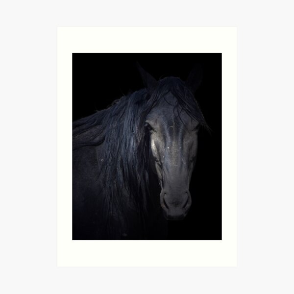 Dark Horse Art Print
