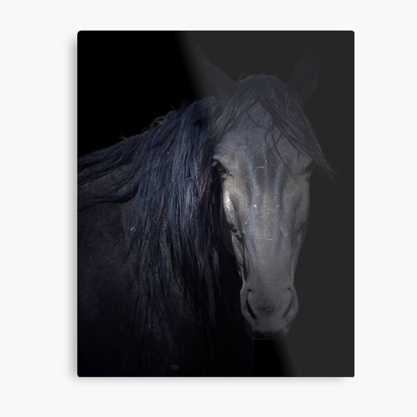 Dark Horse Metal Print