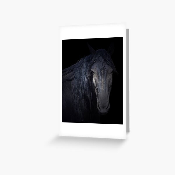 Dark Horse Greeting Card