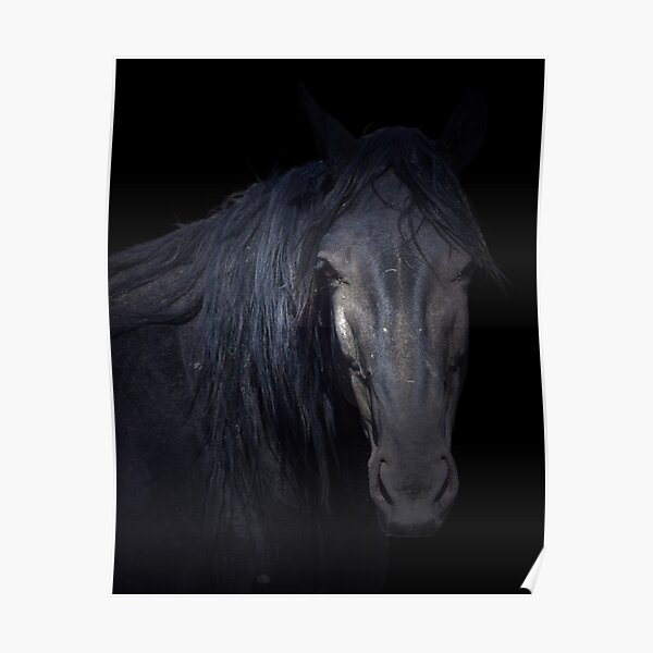 Dark Horse Poster