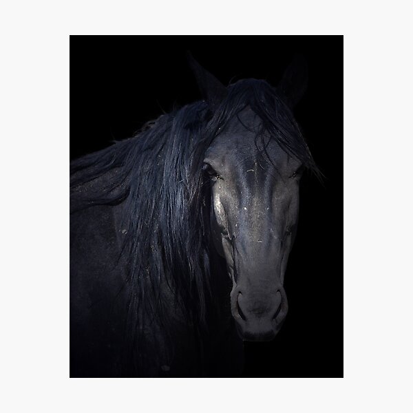 Dark Horse Photographic Print