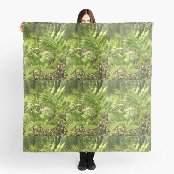 Item preview, Ferns designed and sold by KimSyOk.