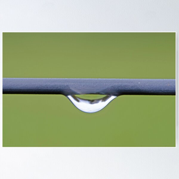 Water Droplet on Green Background Poster