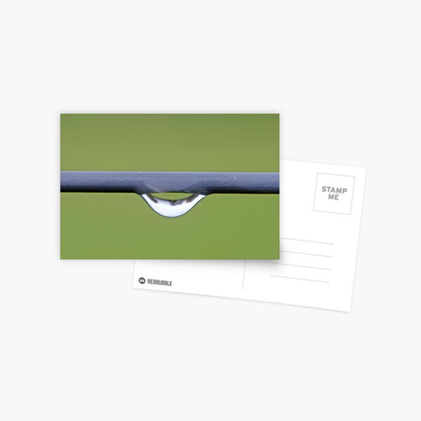 Water Droplet on Green Background Postcard