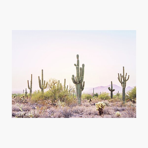 Item preview, Cactus / Desert Landscape designed and sold by LotusPrintShop.
