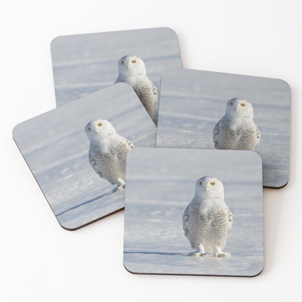 Item preview, Snowy Owl designed and sold by James Cumming.