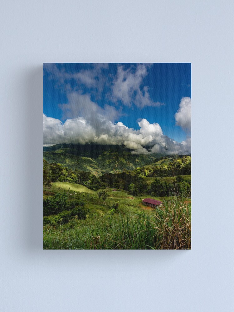 Thumbnail 1 of 3, Canvas Print, Uvita Mountain View designed and sold by darren-j-mcleod.
