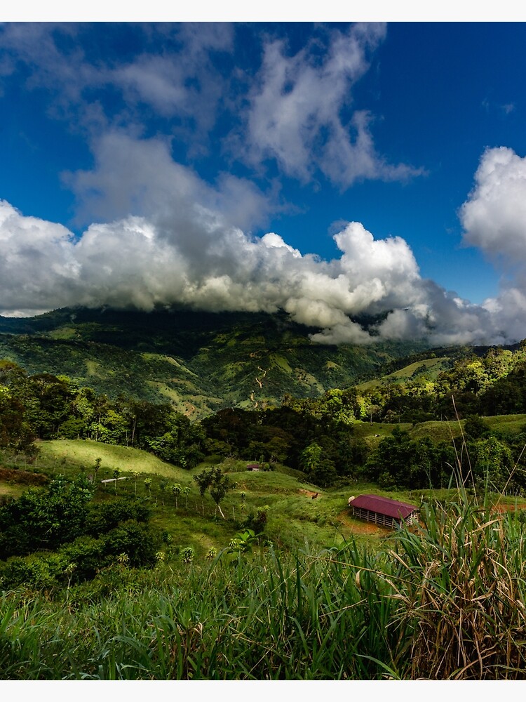 Thumbnail 3 of 3, Canvas Print, Uvita Mountain View designed and sold by darren-j-mcleod.