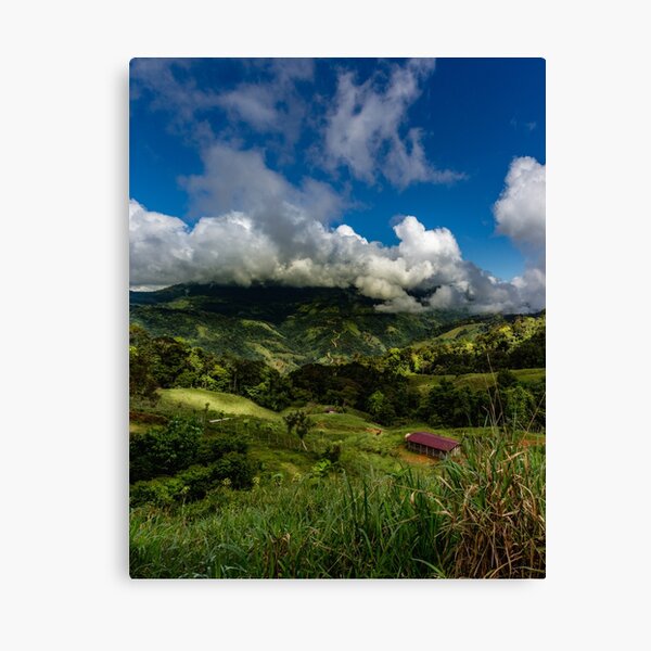 Canvas Print