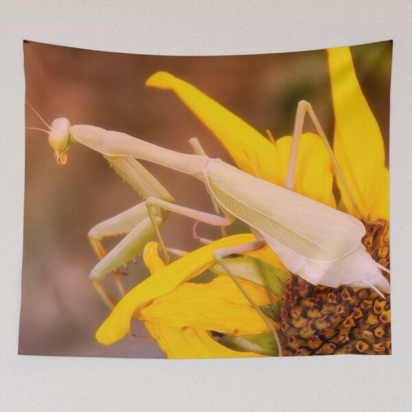 Item preview, Waiting For A Beau designed and sold by Becky Titus.