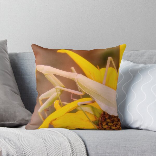 Item preview, Waiting For A Beau designed and sold by Becky Titus.