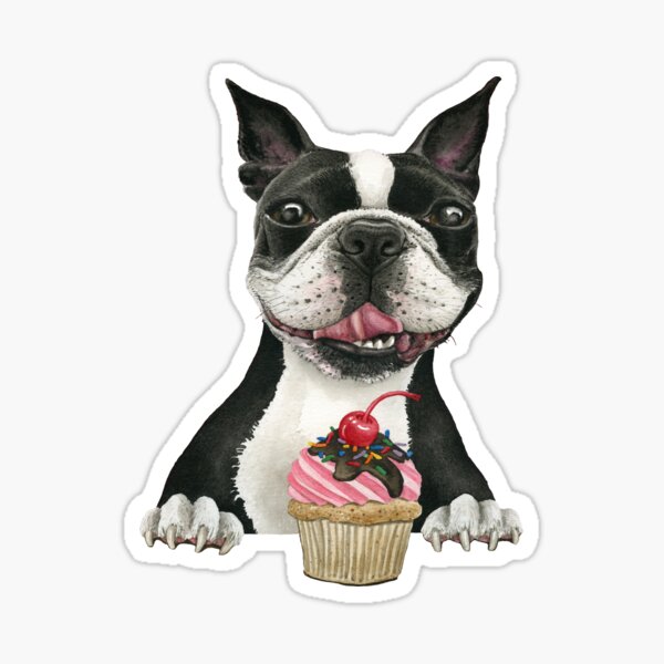 Boston Cupcake Sticker