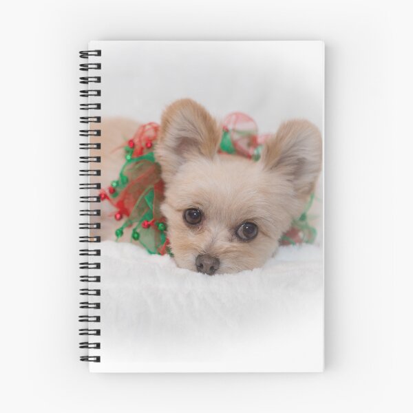 Item preview, Sleepy Christmas Wally designed and sold by M a r i e B a r c i a.