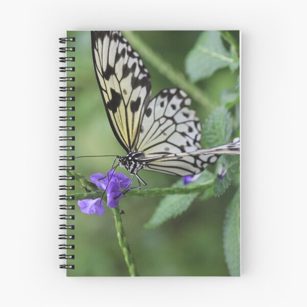 Item preview, Rice Paper Butterfly designed and sold by Chantelle Benade.