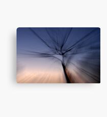 Zoomed tree at dusk Canvas Print