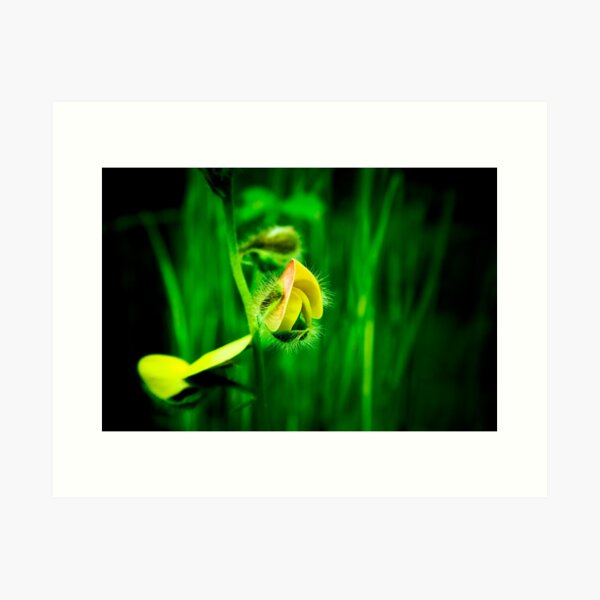 Aperçu de l'œuvre I am not toxic créée et vendue par Dinni H.