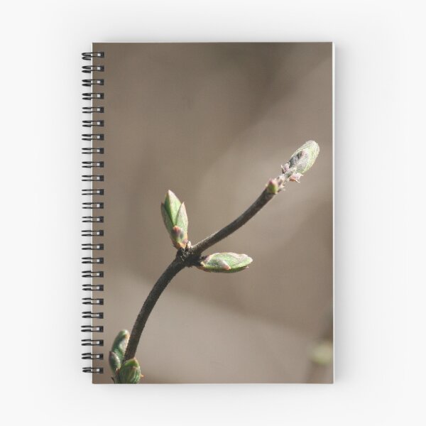 Item preview, Signs of Spring - 3 designed and sold by WalnutHill.