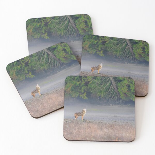 Item preview, Coyote Serenade designed and sold by Tracy Riddell.