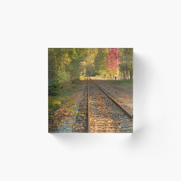Autumn Tracks Acrylic Block