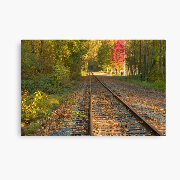 Autumn Tracks Canvas Print
