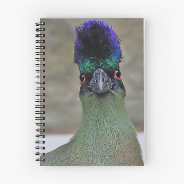 Item preview, Crazy Bird designed and sold by Chantelle Benade.
