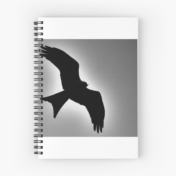 Artikelvorschau, Rustikaler roter Drachen entworfen und verkauft von AAHImages.