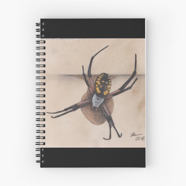 Item preview, Garden Spider Momma with Her Egg Sac designed and sold by brittnideweese.