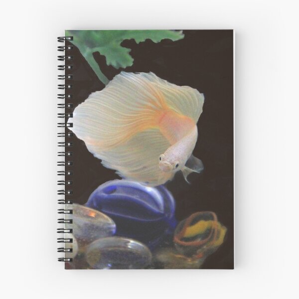 Item preview, Half Moon Beta Fish designed and sold by vette.