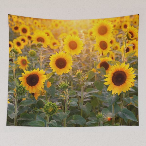 Item preview, Sun Bathing Sunflowers  designed and sold by pinkarmy25.