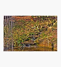 A walk in the park. Photographic Print