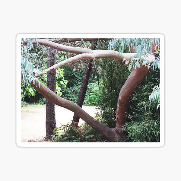 Item preview, Madrona Lighted in the Park designed and sold by David W Trotter.