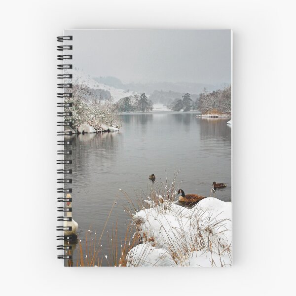 Item preview, 'Swan Lake', Rydal Water, Lake District designed and sold by Martin Lawrence.