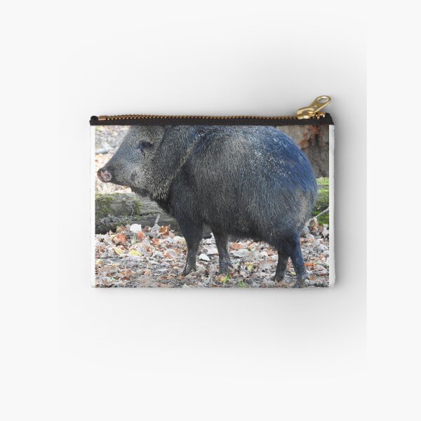 Item preview, Collared Peccary  designed and sold by StudioCorvid.