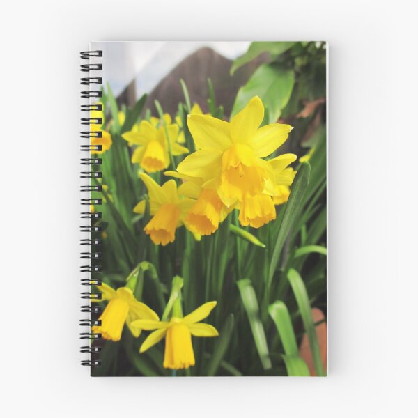 Item preview, Daffodils designed and sold by Emazevedo.