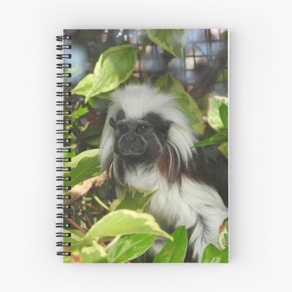 Item preview, tammerin monkey designed and sold by StudioCorvid.