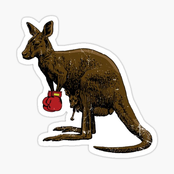 Boxing Kangaroo Stickers Redbubble
